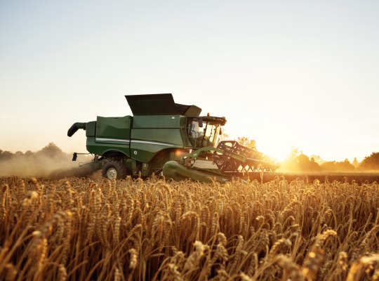 combine in field of wheat